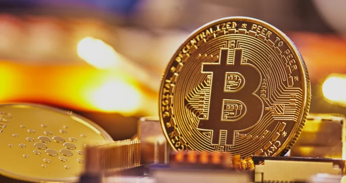 El economista de Harvard que predijo que Bitcoin se desplomaría a 100 dólares ¿se retracta?